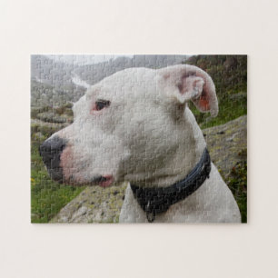 Dogo argentino jigsaw puzzle