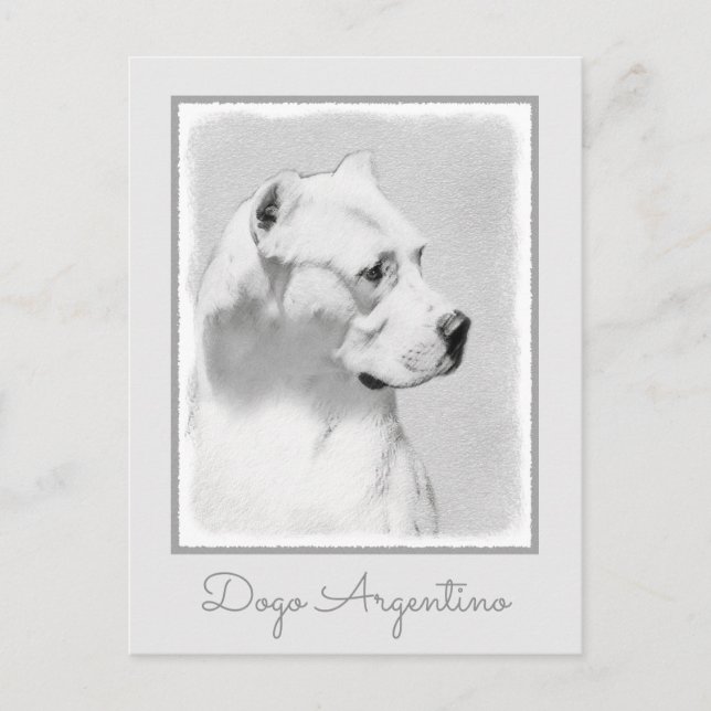 Dogo Argentino Painting - Original Dog Art Postcard (Front)