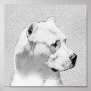 Dogo Argentino Painting - Original Dog Art Poster