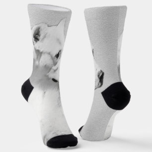 Dogo Argentino Painting - Original Dog Art Socks