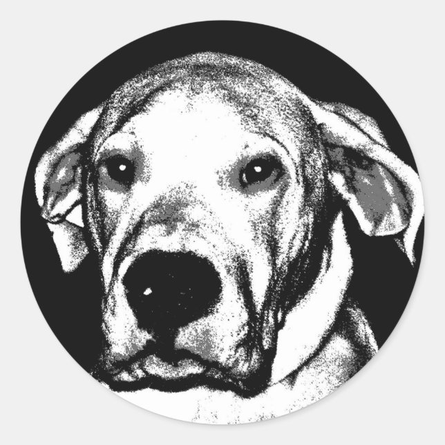 Dogo argentino sticker (Front)