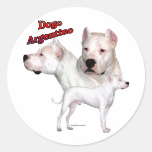 Dogo Argentino Trio 2 - Sticker