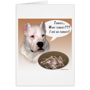 Dogo Argentino Turkey