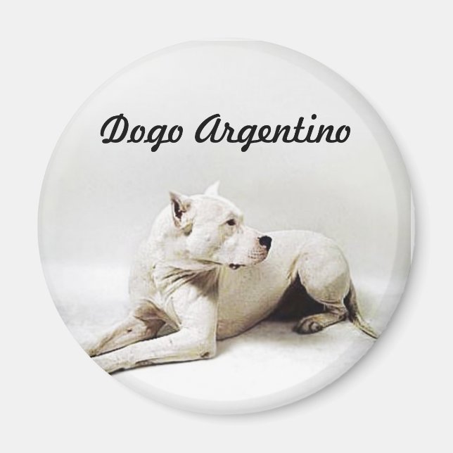 dogo, Dogo Argentino Magnet (Front)