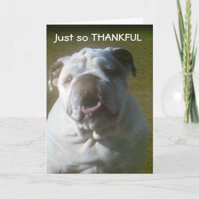 DOGONE HAPPY I HAVE "YOU" FOR A "FRIEND" THANK YOU CARD (Front)