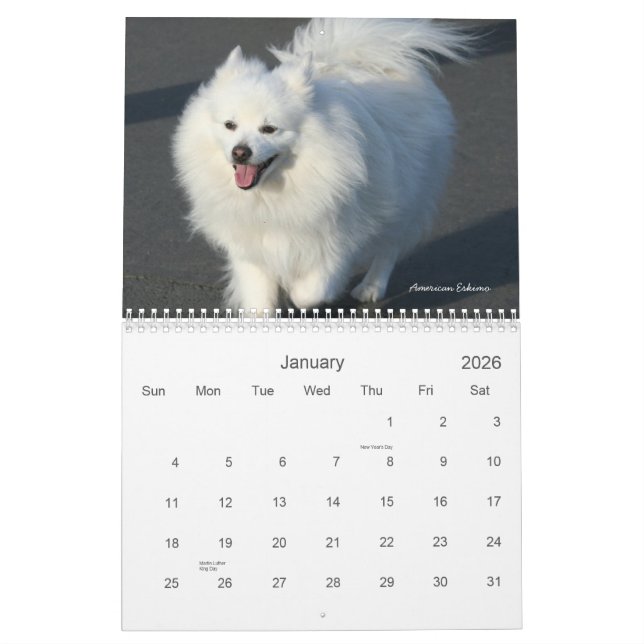 Dogs 2011 Calendar (Jan 2026)
