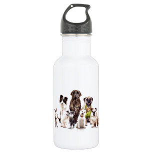 Dogs 532 Ml Water Bottle