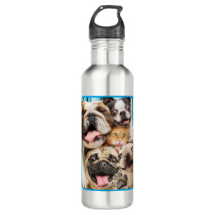 Dogs and a Cat Group Photo 710 Ml Water Bottle