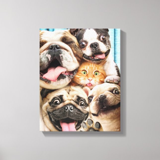 Dogs and a Cat Group Photo Canvas Print (Front)