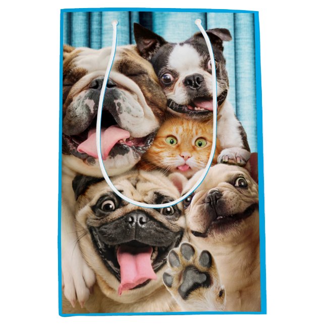 Dogs and a Cat Group Photo Medium Gift Bag (Front)