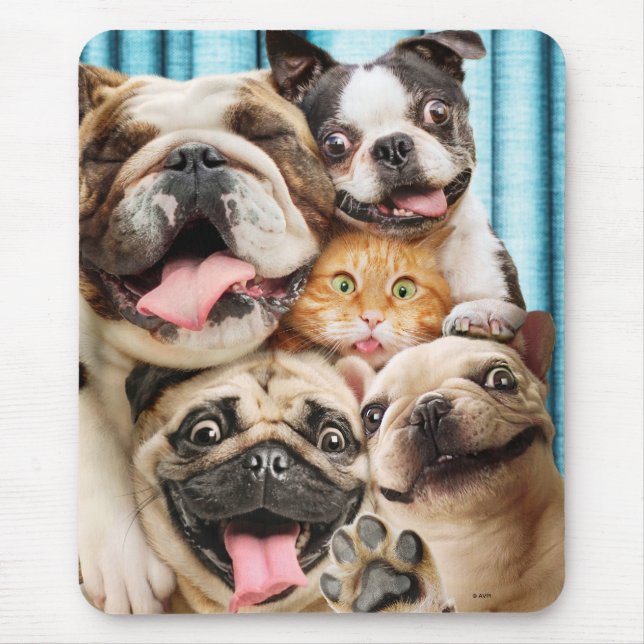 Dogs and a Cat Group Photo Mouse Mat (Front)