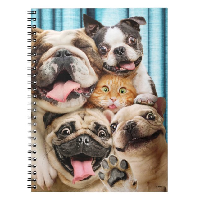 Dogs and a Cat Group Photo Notebook (Front)
