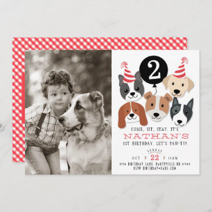 Dogs and Black Balloon Photo Birthday Invite