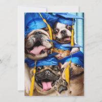 Dogs and Cat Grads in Photo Booth