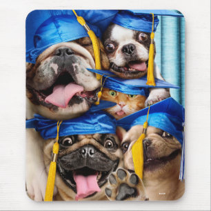 Dogs and Cat Grads in Photo Booth Mouse Mat