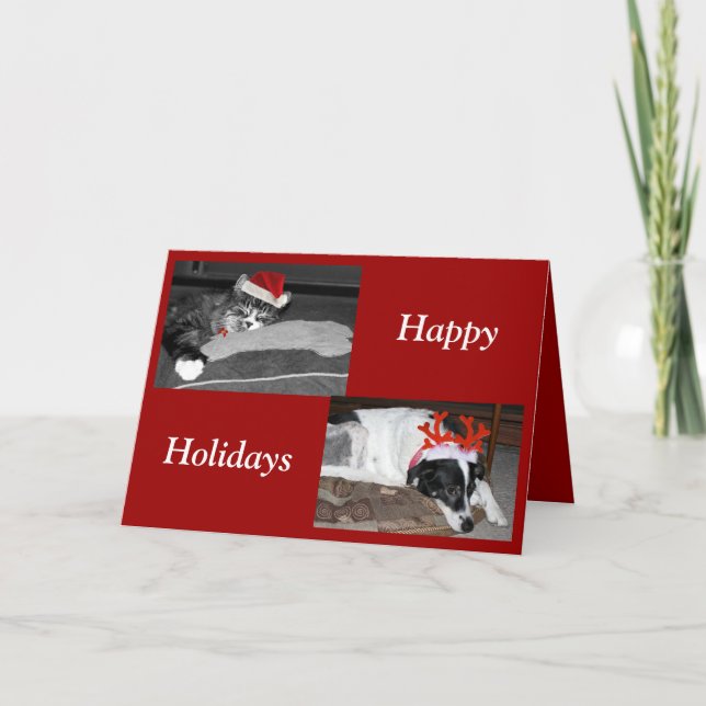 dogs and cats holiday card (Front)