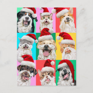 Dogs and Cats with Santa Beard Invitation Postcard