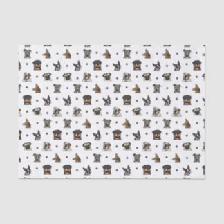 Dogs and Paws Tissue Paper