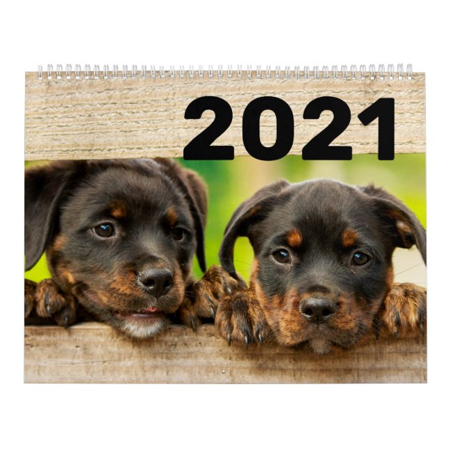Dogs and Puppies 2021 Calendar (Cover)