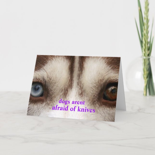 dogs arent afraid card (Front)