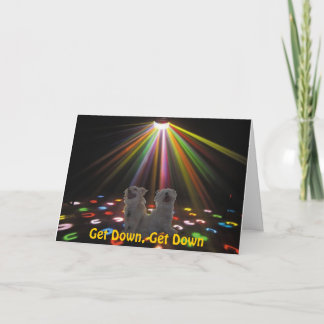 dogs at disco card