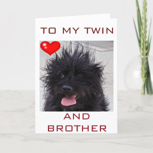 DOG'S BAD HAIR DAY HAPPY BIRTHDAY TWIN BROTHER CARD