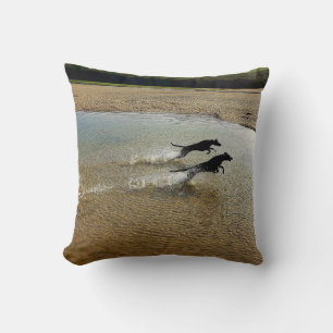 Dogs bounding through water, Gannel River, Newquay Cushion