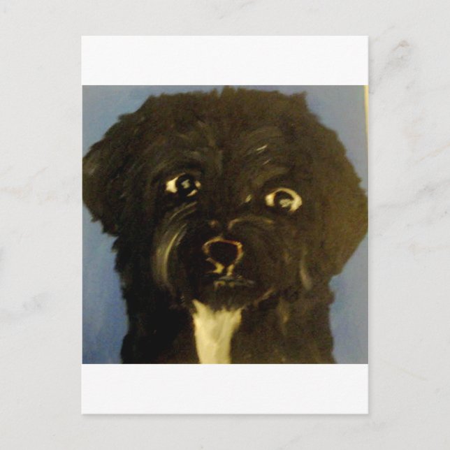 dogs by eric ginsburg postcard (Front)