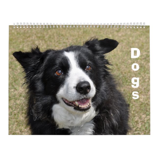 Dogs Calendar (Cover)