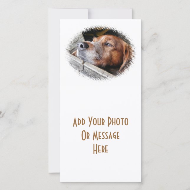 DOGS card (Front)
