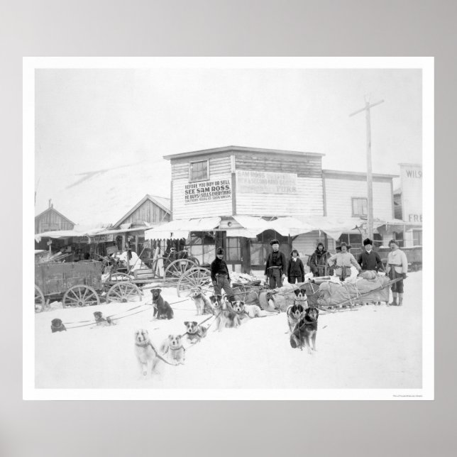 Dogs Carrying Food Alaska 1924 Poster (Front)