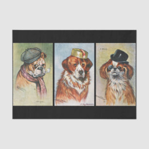 Dogs, cartoon triptych tissue paper