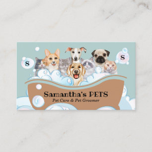 Dogs Cats Spa Sitter Groomer petCare Bathing Business Card