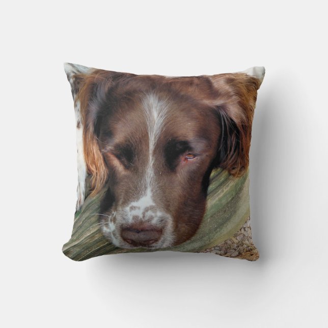 DOGS CUSHION (Front)