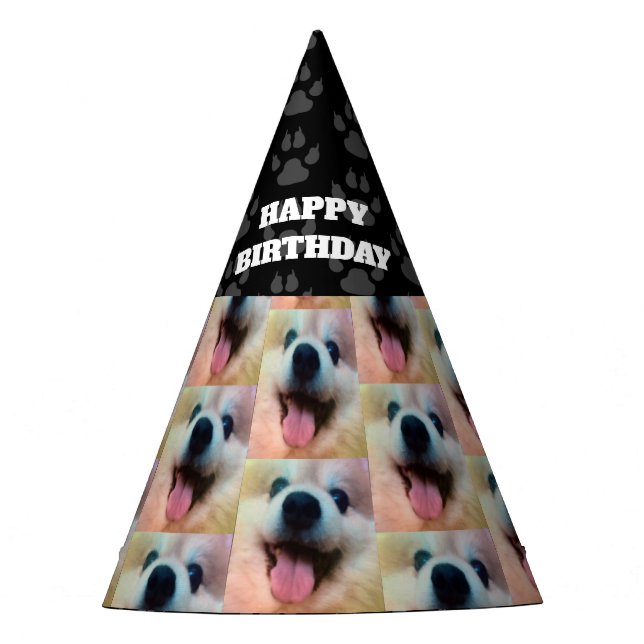 Dog's Custom Photo Birthday Party Hat (Front)