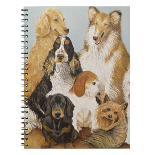 Dogs' Dinner Notebook
