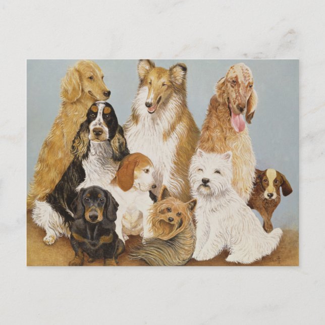 Dogs' Dinner Postcard (Front)