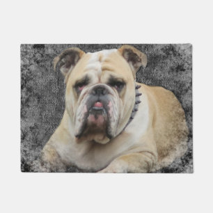 Dogs, english bulldogge, grim looking doormat