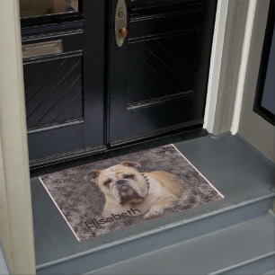 Dogs, english bulldogge, grim looking  doormat