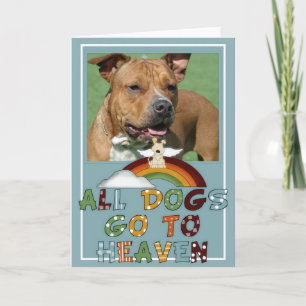 Dogs go to Heaven Photo Pet Sympathy Greeting Card
