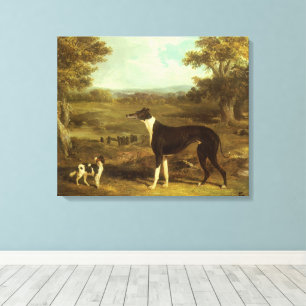 Dogs, Greyhound and Spaniel, Doctor Fop by Herring Canvas Print