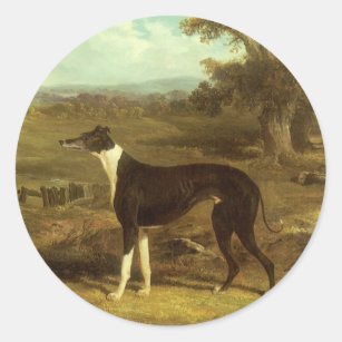 Dogs, Greyhound and Spaniel, Doctor Fop by Herring Classic Round Sticker