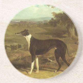 Dogs, Greyhound and Spaniel, Doctor Fop by Herring Coaster