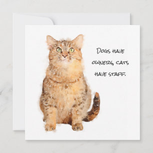 Dogs have owners, cats have staff flat card