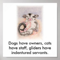 Dogs have owners, cats have staff, glider...
