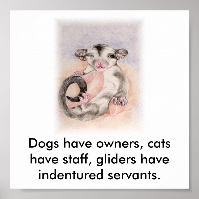 Dogs have owners, cats have staff, glider... poster (Front)