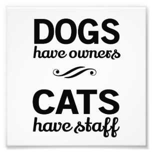 Dogs Have Owners, Cats Have Staff Photo Print