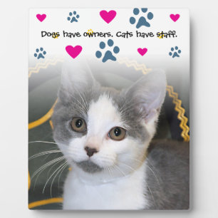 Dogs Have Owners-Cats Have Staff Plaque
