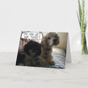 DOGS HOPE YOU HAVE A **CHRISTMAS TO TWEET ABOUT!** HOLIDAY CARD