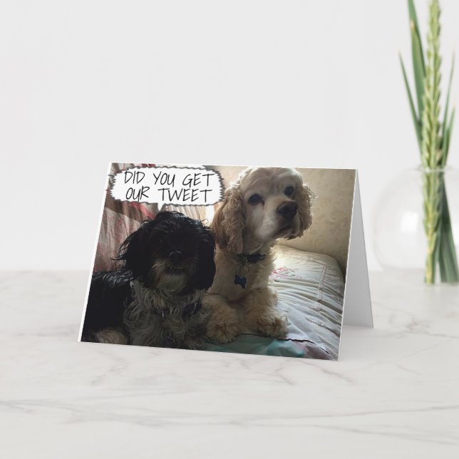 DOGS HOPE YOU HAVE A **CHRISTMAS TO TWEET ABOUT!** HOLIDAY CARD (Front)